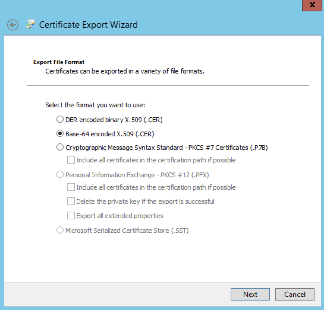 Export File Format